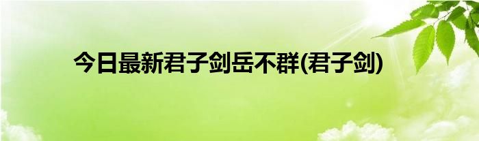 今日最新君子剑岳不群(君子剑)