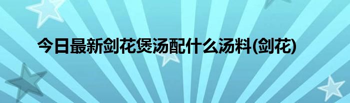 今日最新剑花煲汤配什么汤料(剑花)