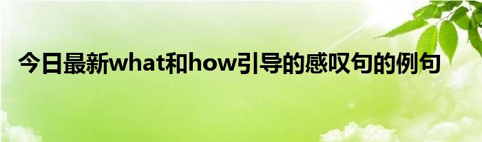 今日最新what和how引导的感叹句的例句