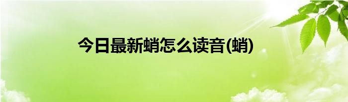 今日最新蛸怎么读音(蛸)