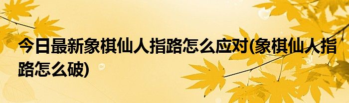 今日最新象棋仙人指路怎么应对(象棋仙人指路怎么破)