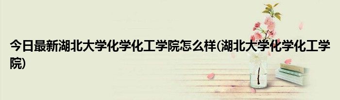 今日最新湖北大学化学化工学院怎么样(湖北大学化学化工学院)