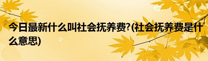今日最新什么叫社会抚养费?(社会抚养费是什么意思)