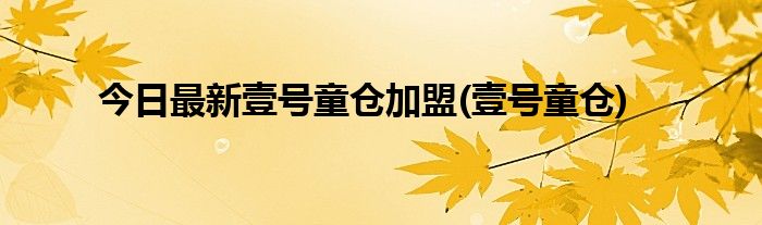 今日最新壹号童仓加盟(壹号童仓)