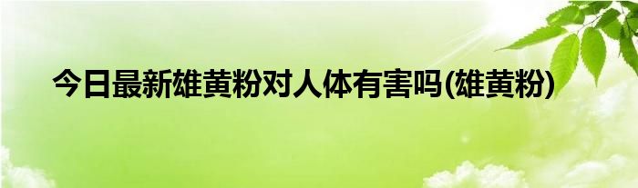 今日最新雄黄粉对人体有害吗(雄黄粉)
