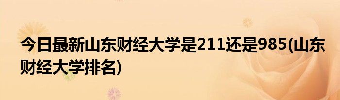 今日最新山东财经大学是211还是985(山东财经大学排名)