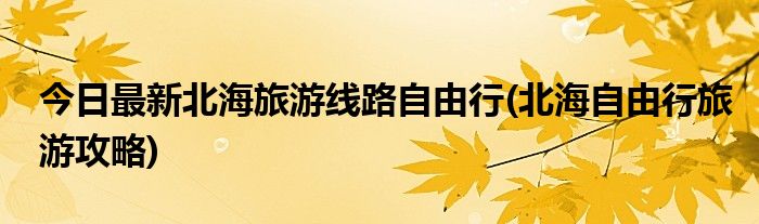 今日最新北海旅游线路自由行(北海自由行旅游攻略)
