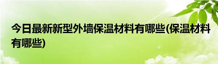 今日最新新型外墙保温材料有哪些(保温材料有哪些)