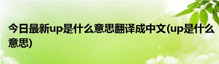 今日最新up是什么意思翻译成中文(up是什么意思)