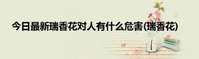 今日最新瑞香花对人有什么危害(瑞香花)