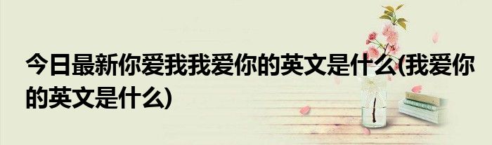 今日最新你爱我我爱你的英文是什么(我爱你的英文是什么)