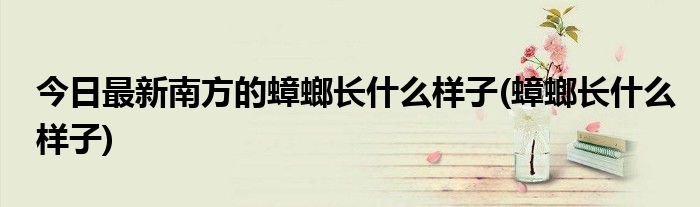 今日最新南方的蟑螂长什么样子(蟑螂长什么样子)