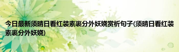 今日最新须晴日看红装素裹分外妖娆赏析句子(须晴日看红装素裹分外妖娆)