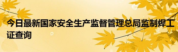 今日最新国家安全生产监督管理总局监制焊工证查询