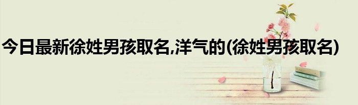 今日最新徐姓男孩取名,洋气的(徐姓男孩取名)