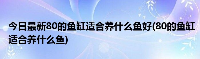 今日最新80的鱼缸适合养什么鱼好(80的鱼缸适合养什么鱼)