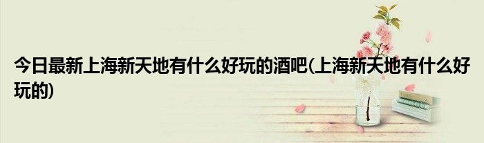 今日最新上海新天地有什么好玩的酒吧(上海新天地有什么好玩的)