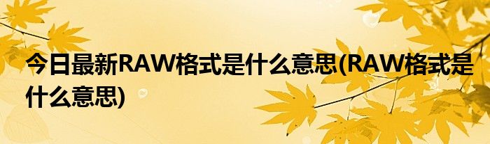 今日最新RAW格式是什么意思(RAW格式是什么意思)