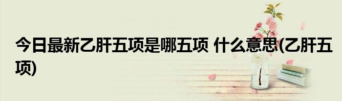 今日最新乙肝五项是哪五项 什么意思(乙肝五项)