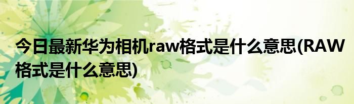 今日最新华为相机raw格式是什么意思(RAW格式是什么意思)