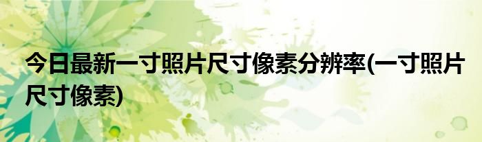 今日最新一寸照片尺寸像素分辨率(一寸照片尺寸像素)