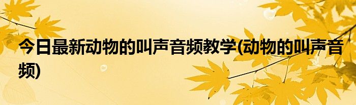 今日最新动物的叫声音频教学(动物的叫声音频)