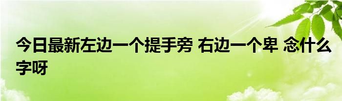 今日最新左边一个提手旁 右边一个卑 念什么字呀