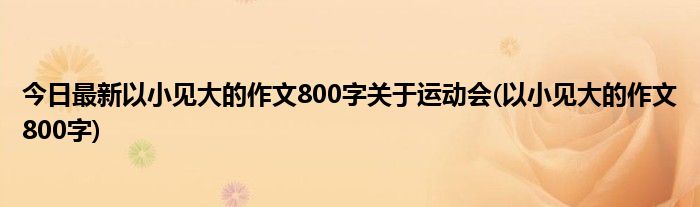 今日最新以小见大的作文800字关于运动会(以小见大的作文800字)