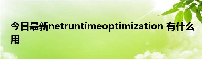 今日最新netruntimeoptimization 有什么用