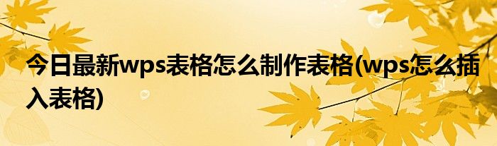 今日最新wps表格怎么制作表格(wps怎么插入表格)