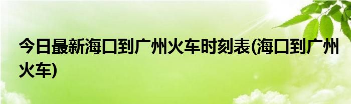 今日最新海口到广州火车时刻表(海口到广州火车)