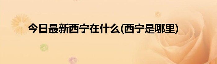 今日最新西宁在什么(西宁是哪里)
