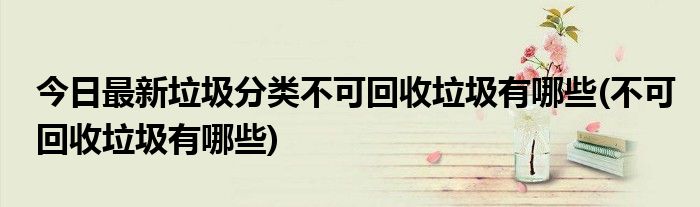 今日最新垃圾分类不可回收垃圾有哪些(不可回收垃圾有哪些)