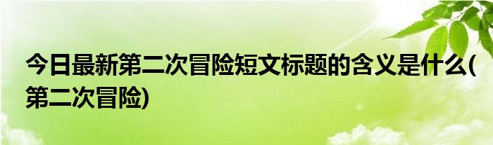 今日最新第二次冒险短文标题的含义是什么(第二次冒险)