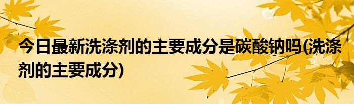 今日最新洗涤剂的主要成分是碳酸钠吗(洗涤剂的主要成分)