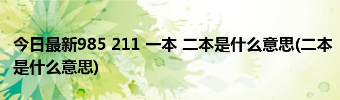 今日最新985 211 一本 二本是什么意思(二本是什么意思)