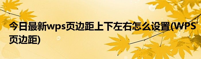 今日最新wps页边距上下左右怎么设置(WPS页边距)