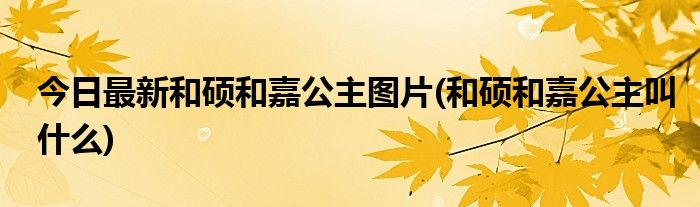 今日最新和硕和嘉公主图片(和硕和嘉公主叫什么)