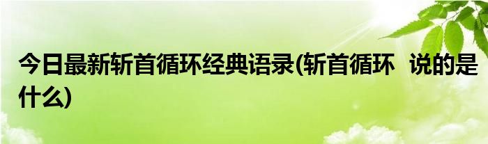 今日最新斩首循环经典语录(斩首循环 说的是什么)