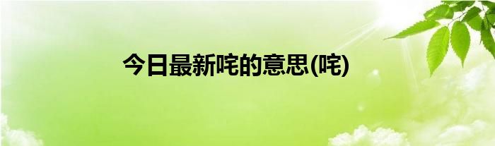 今日最新咤的意思(咤)