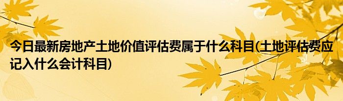 今日最新房地产土地价值评估费属于什么科目(土地评估费应记入什么会计科目)