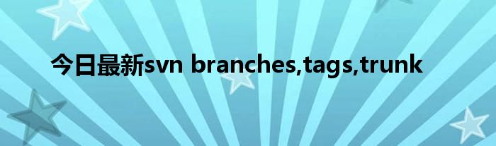 今日最新svn branches,tags,trunk