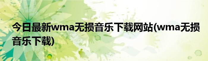 今日最新wma无损音乐下载网站(wma无损音乐下载)