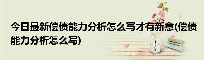 今日最新偿债能力分析怎么写才有新意(偿债能力分析怎么写)