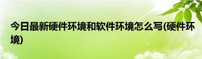 今日最新硬件环境和软件环境怎么写(硬件环境)