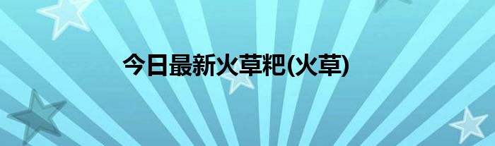 今日最新火草粑(火草)