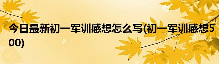 今日最新初一军训感想怎么写(初一军训感想500)