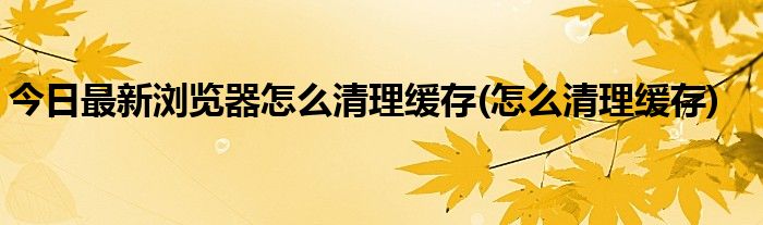 今日最新浏览器怎么清理缓存(怎么清理缓存)