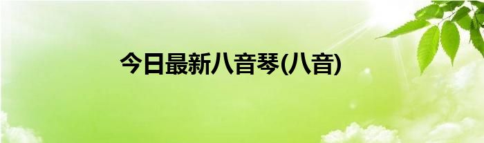 今日最新八音琴(八音)