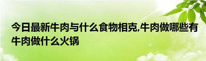 今日最新牛肉与什么食物相克,牛肉做哪些有牛肉做什么火锅